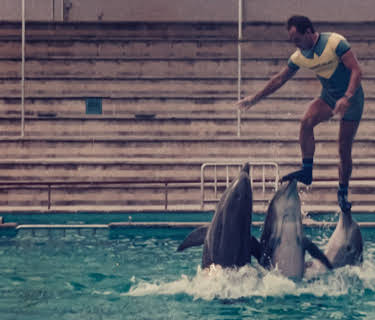 The Last Dolphin King (2022)