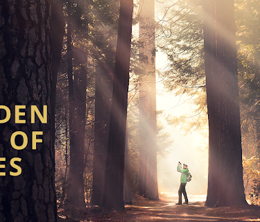 The Hidden Life of Trees (2021)