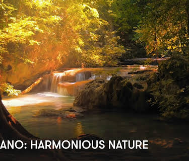Zen Piano: Harmonious Nature (2023)