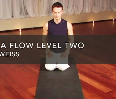 Hatha Flow Level Two (2010)
