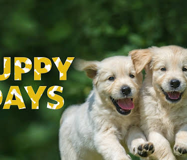 Puppy Days