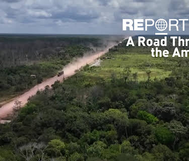 Reporters: A Road Through the Amazon (2025)