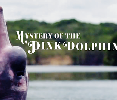 The Mystery of the Pink Dolphin (2015)