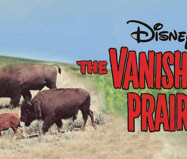 The Vanishing Prairie (1954)