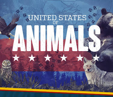United States of Animals Season 1