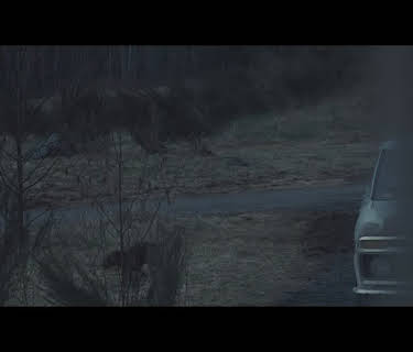 Único disparo (2013)