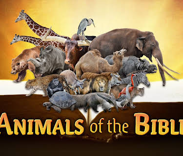 Animals Of The Bible (2026)