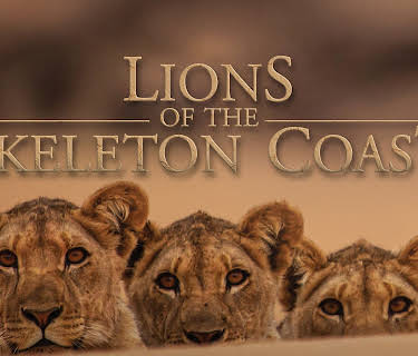 Lions of the Skeleton Coast (2024)