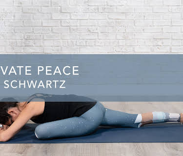 Cultivate Peace (2024)