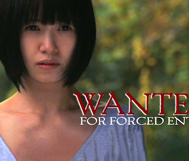 Wanted: For Forced Entry (2016)