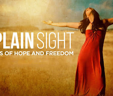 In Plain Sight: Stories of Hope and Freedom (2014)