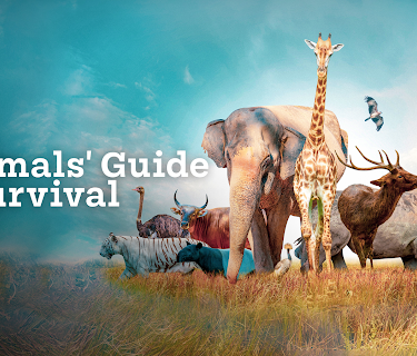 The Animals' Guide to Survival