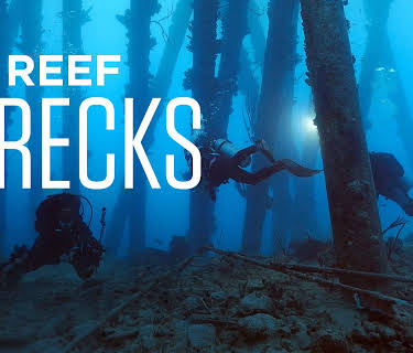 Reef Wrecks