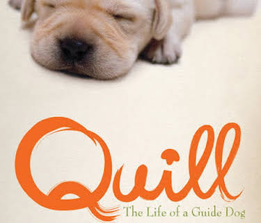 Quill: The Life of a Guide Dog (2012)