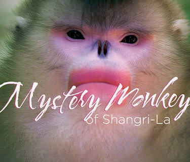 Mystery Monkeys of Shangri-La (1982)