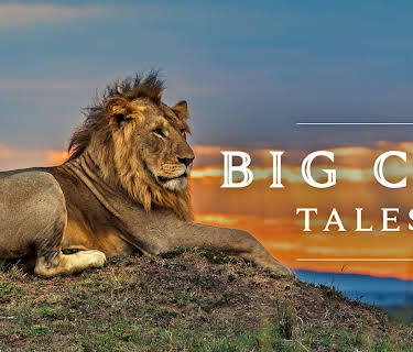 Big Cat Tales Season 2