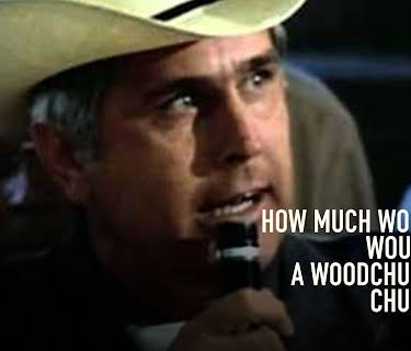 How Much Wood Would A Woodchuck Chuck? (1976)