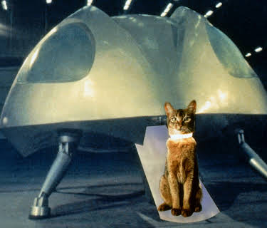 Gröna ögon från rymden (1978)