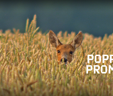 Poppy's Promise (2010)