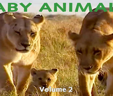 Baby Animals: Volume 2 (2011)
