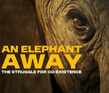 An Elephant Away (2025)