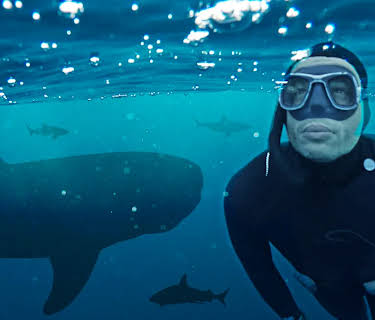 Swimming With Legends (2014)