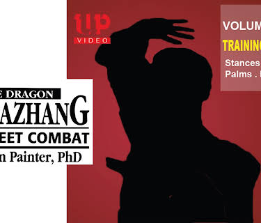 Nine Dragon Baguazhang For Street Combat Capt John Painter PHD Vol1 Training Principles