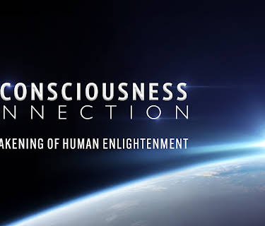 The Consciousness Connection (2025)