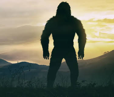 Bigfoot Monster Mystery (2020)