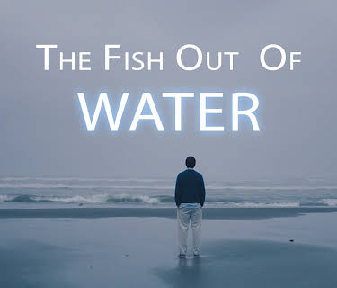 The Fish Out of Water