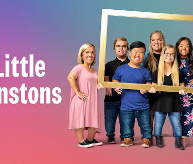 7 Little Johnstons