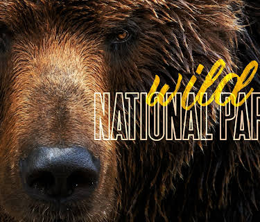 Wild National Parks (2020)