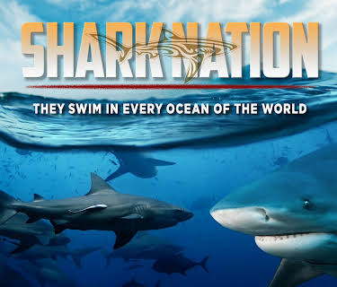 Shark Nation (2013)