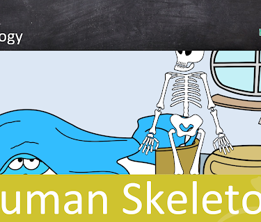 Human Skeleton - School Movie on Biology