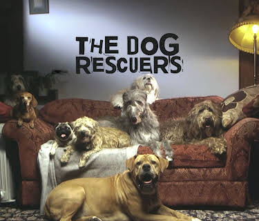 The Dog Rescuers