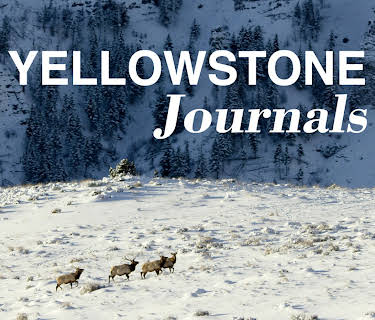 Yellowstone Journals