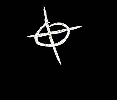 The Hunt for the Zodiac Killer