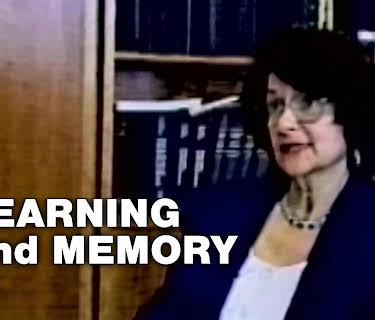 Learning and Memory (2025)