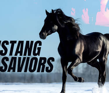 Mustang Saviors (2021)