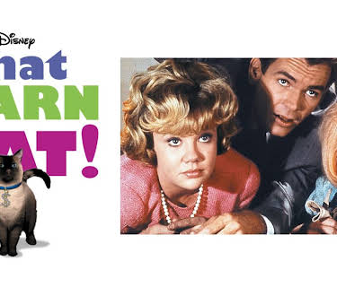 That Darn Cat! (1965)