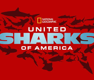 United Sharks of America (2015)