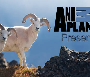 Animal Planet Presents Season 1