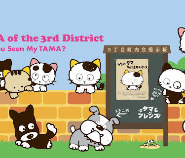 TAMA of the 3rd District -Have You Seen My TAMA? (1994)