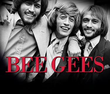 Rock ‘n Roll Icon: Bee Gees (2020)