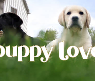 Puppy Love (2023)