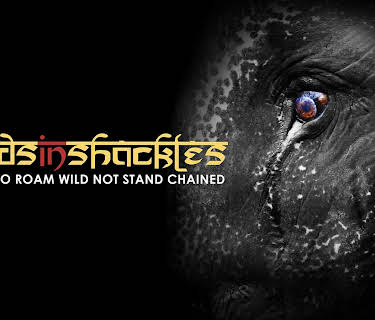 Gods in Shackles (2016)