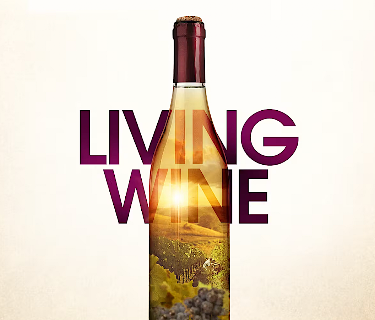 Living Wine (2022)