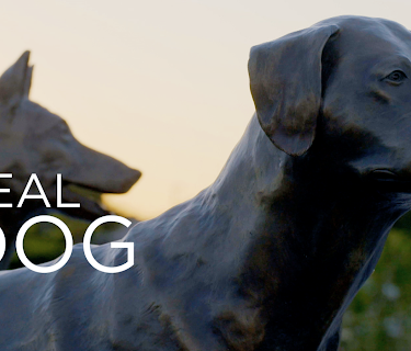 SEAL Dog (2015)