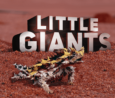 Little Giants Season 1
