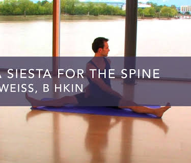 Yoga Siesta for the Spine (2010)